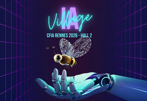 Village IA